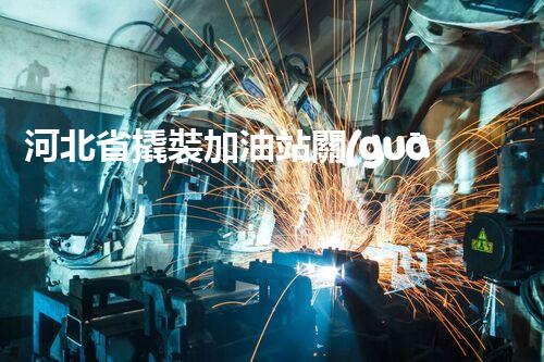 河北省撬裝加油站關(guān)鍵技術(shù)突破！化工廠拆除工程的新方法探索？